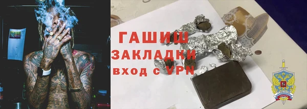 амф Бородино