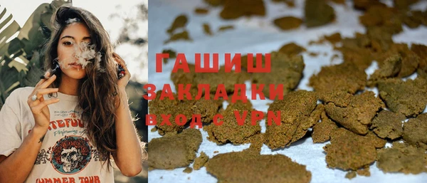 амф Бородино