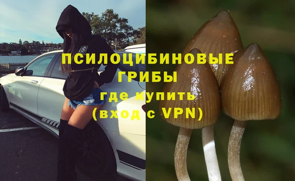твердый Бугульма
